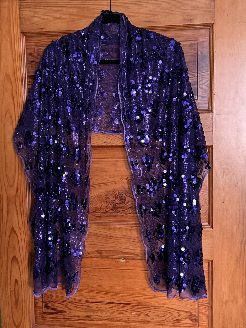 Purple Sequin Shawl Scarf Wrap